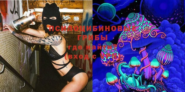 2c-b Балахна