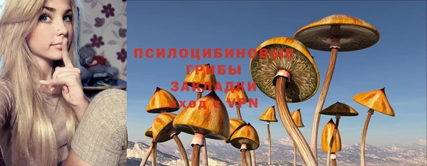 2c-b Балахна