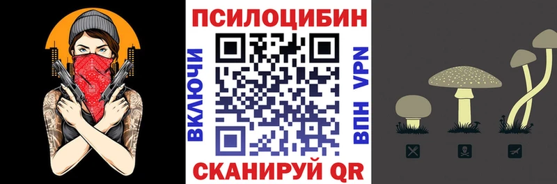 Галлюциногенные грибы Psilocybe  Ясногорск 